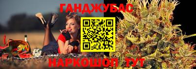 сатива Лесосибирск